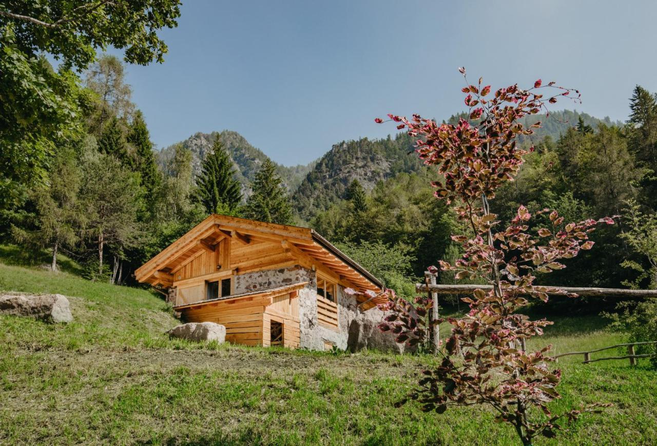 Odomi Maso Nel Bosco Sant'Orsola Exterior foto